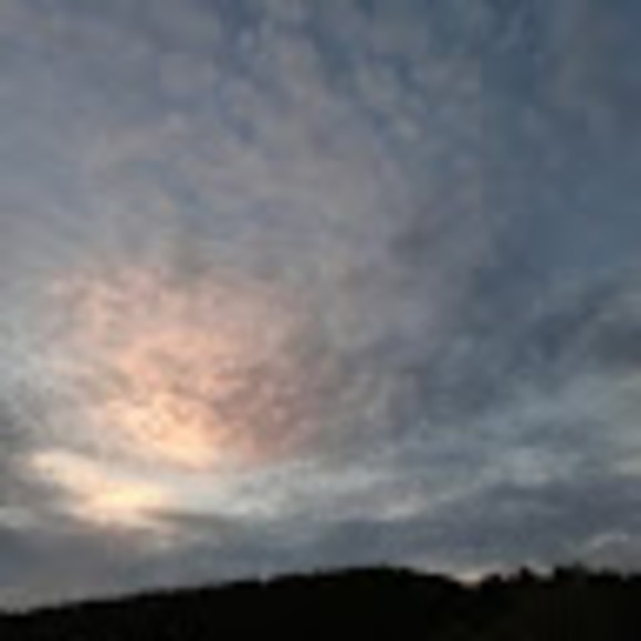 Meet your Posher, Misty - Picture 1 of 1